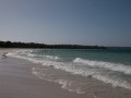 1230-1700 Jervis Bay (1060684)